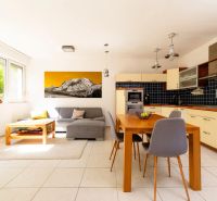 Wohnzimmer mit Küche, helle Couch, Esstisch, große Fenster, Kunst an der Wand.
