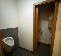 Innenräume von Geschäftsräumen mit Toilette und dunklem Boden in Holzoptik.