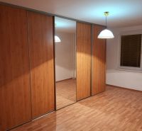 Ein Kleiderschrank mit Schiebetüren, Spiegel und einem Boden in Holzoptik in einer 3-Zimmer-Wohnung.