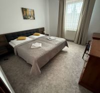 Helles Zimmer in Hotels und Pensionen mit Doppelbett, Vorhängen und Kunst an der Wand.