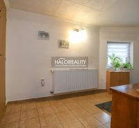 Ein Flur in einem Einfamilienhaus mit Fliesen, hellen Wänden, Pflanzen und Holzmöbeln.