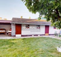 Garten bei einem Einfamilienhaus in Senica mit Rasen und Baum, Anbau hinten.