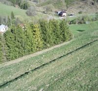 Landwirtschaftliche und forstwirtschaftliche Grundstücke in Čierny Balog mit Wäldern und ländlichen Häusern.