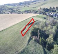 Landwirtschaftliche und forstwirtschaftliche Flächen rund um Čierny Balog mit einem markierten Abschnitt am Hang.