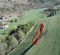 Wiesen und Wälder auf landwirtschaftlichen und forstwirtschaftlichen Flächen in Čierny Balog, umgeben von der Landschaft.