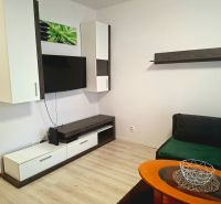 Wohnbereich eines Einzimmerapartments mit Fernseher, Schränken, Sofa, Holzboden.