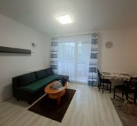 Einzimmerwohnung mit Holzboden, Sofa, Couchtisch und Esstisch.