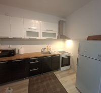 Küche in einem Einzimmerapartment mit Küchenzeile, Mikrowelle, Spüle und Kühlschrank, Boden mit Holzdekor.