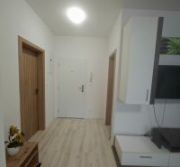 Ein Flur mit weißen Wänden, einem Boden in Holzoptik und einem Schrank in einem Einzimmerapartment.