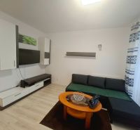 Einzimmerwohnung mit Sofa, Couchtisch und Boden in Holzoptik.