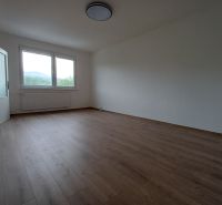 Ein Zimmer in einer 3-Zimmer-Wohnung mit einem Boden in Holzoptik, einem großen Fenster und einem Heizkörper.