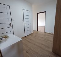 Innenraum einer 3-Zimmer-Wohnung mit weißen Türen und einem Boden in Holzoptik.