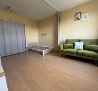 Ein Zimmer in einer Einzimmerwohnung mit einem Sofa, einem Bett und einem Boden in Holzoptik.