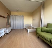 Ein Zimmer in einer Einzimmerwohnung mit Holzboden, einem Bett und einem grünen Sofa.