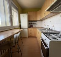 Küche in einer Einzimmerwohnung mit Holzboden und hellen Möbeln.
