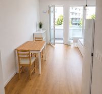 Helle 1-Zimmer-Wohnung mit Holzboden, mit Blick auf den Balkon.