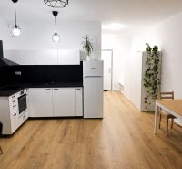 Küche in einer Einzimmerwohnung mit schwarzer Dunstabzugshaube und Boden in Holzoptik.