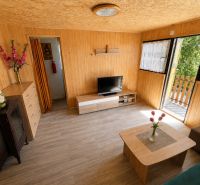 Innenraum einer Hütte mit Holzboden, Fernseher, Sofa, Blumen und Schränken.