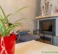 In einem Einfamilienhaus gibt es ein Sofa, einen Kamin, Dekorationen und eine Zimmerpflanze in einem roten Blumentopf.