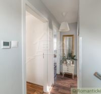 Der Flur in einem Einfamilienhaus mit einem Holzboden, weißen Wänden und einem Spiegel.
