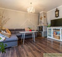 Wohnzimmer in einem Einfamilienhaus mit Kamin, Ecksofa und Holzboden.