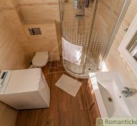 Badezimmer mit Waschmaschine, Dusche und Holzboden-Dekor in einem Einfamilienhaus.