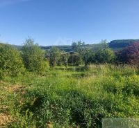 Grünflächen, Bäume und Rasenflächen in den Gärten von Podkylava mit Bergen im Hintergrund.