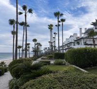 Blick auf den Strand und die Palmen an der Dominion Beach Straße in Estepona.