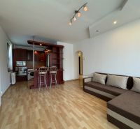 Wohnzimmer in einer 2-Zimmer-Wohnung mit Holzboden und Küchenzeile.