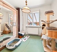 Ein Zimmer in einem Einfamilienhaus mit einem Katzenbaum, einem Spiegelschrank und einem Boden mit Holzdekor.