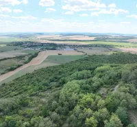 Luftaufnahme von landwirtschaftlichen und forstwirtschaftlichen Flächen in der Umgebung von Tornala.