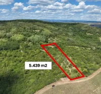 Landwirtschaftliche und forstwirtschaftliche Flächen in Tornaľa, umgeben von dichten Wäldern und Grünflächen.