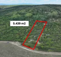 Landwirtschaftliche und forstwirtschaftliche Grundstücke in Tornaľa mit einer Fläche von 5.439 m², umgeben von Grünflächen.