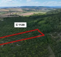 Landwirtschaftliche und forstwirtschaftliche Grundstücke in Tornala mit markiertem Gebiet und malerischer Umgebung.