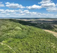 Hügelige grüne Landschaft und ausgedehnte landwirtschaftliche und forstwirtschaftliche Flächen in Tornaľa an einem klaren Tag.
