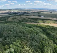 Landschaft in Tornaľa mit gemischten landwirtschaftlichen und forstwirtschaftlichen Flächen unter klarem Himmel.