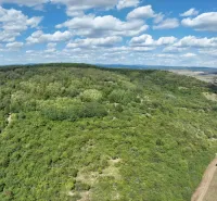 Wiesen und Wälder rund um Tornele, landwirtschaftliche und forstwirtschaftliche Flächen, unter blauem Himmel.