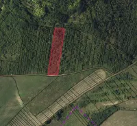 Landwirtschaftliche und forstwirtschaftliche Grundstücke in Tornaľa, deutliche Abgrenzung des Grundstücks in roter Farbe.