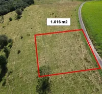 Grundstück mit einer Fläche von 1.016 m², besondere Immobilien, Stará Ľubovňa, neben der Straße, grüne Wiese.