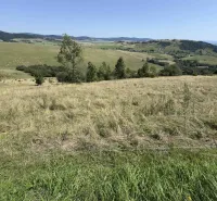 Hügelige Landschaft und Wiesen mit Aussicht in der Gegend von Besonderen Immobilien in Stará Ľubovňa.