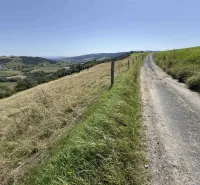 Eine Landstraße umgeben von Wiesen und Hügeln im Hintergrund, Ungewöhnliche Immobilien in Stará Ľubovňa.