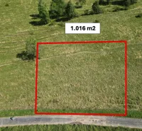 Grundstück 1.016 m² mit Gras und Bäumen, Stará Ľubovňa, Besondere Immobilien.