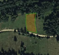 Eine Wiese mit grünen Grundstücksgrenzen, umgeben von Wäldern in Stará Ľubovňa - Besondere Immobilien.