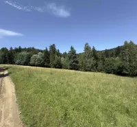 Waldweg und Wiese umgeben von Bäumen in der Gegend von Stará Ľubovňa, Besondere Immobilien.
