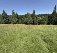Eine Wiese, umgeben von Nadelwäldern in der Nähe von Stará Ľubovňa, geeignet für besondere Immobilien.