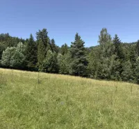 Ein Wald in Stará Ľubovňa, umgeben von einer Wiese, ideal für Liebhaber besonderer Immobilien.
