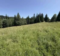 Grünfläche auf einer Wiese, umgeben von Wald in der Umgebung von Stará Ľubovňa, Besondere Immobilien.