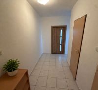 Innenraum einer 3-Zimmer-Wohnung mit Fliesen, Zimmerpflanze und Holztüren.