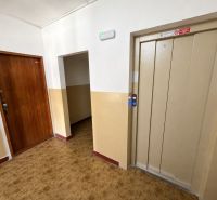 Eingangsflur einer 3-Zimmer-Wohnung mit Aufzug und Bodenbelag in Holzoptik.