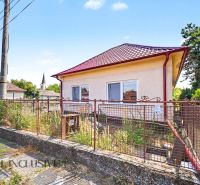 Ein Einfamilienhaus in Vydrany mit rotem Dach, Umzäunung und einem Garten voller Vegetation.